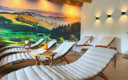 Camera de relaxare Pensiunea Banffy